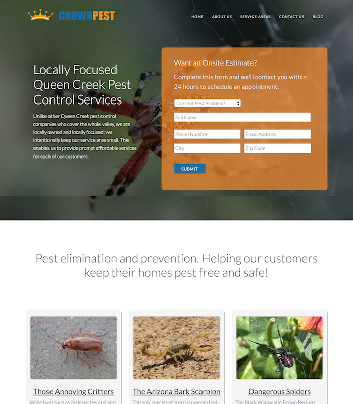 Pest Control Website Desing